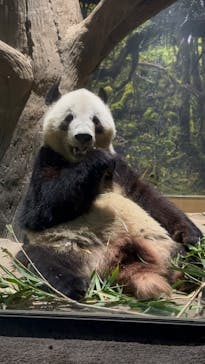 恩賜上野動物園に投稿された画像（2025/12/28）