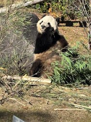 恩賜上野動物園に投稿された画像（2025/12/28）
