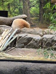 恩賜上野動物園に投稿された画像（2025/12/28）
