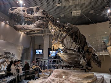 特別展「大絶滅展―生命史のビッグファイブ」に投稿された画像（2025/12/28）