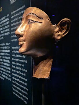 ACN ラムセス大王展 ファラオたちの黄金に投稿された画像（2025/12/28）