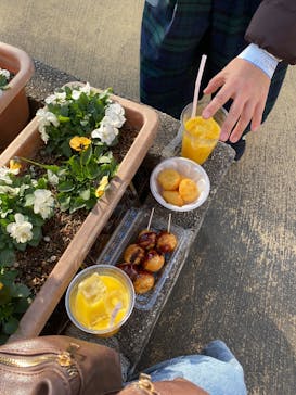 ひらかたパークに投稿された画像（2025/12/28）