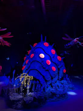 金曜ロードショーとジブリ展（静岡展）に投稿された画像（2025/12/28）