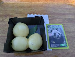 恩賜上野動物園に投稿された画像（2025/12/28）