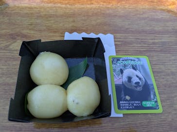 恩賜上野動物園に投稿された画像（2025/12/28）