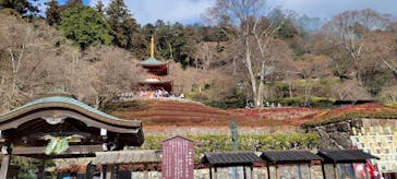 勝尾寺に投稿された画像（2025/12/28）