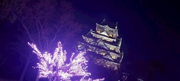 大阪城イルミナージュに投稿された画像（2025/12/28）