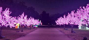 大阪城イルミナージュに投稿された画像（2025/12/28）