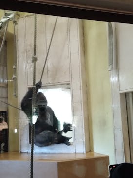 名古屋市東山動植物園に投稿された画像（2025/12/28）