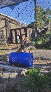 名古屋市東山動植物園に投稿された画像（2025/12/28）