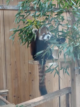 名古屋市東山動植物園に投稿された画像（2025/12/28）