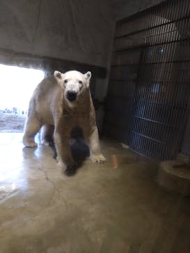 名古屋市東山動植物園に投稿された画像（2025/12/28）