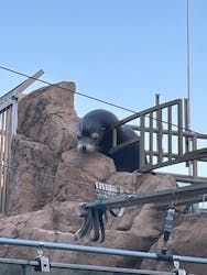 サンシャイン水族館に投稿された画像（2025/12/28）