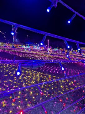 みろくの里に投稿された画像（2025/12/28）