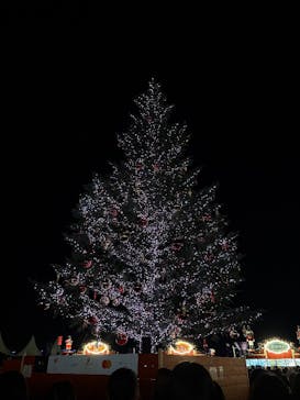 Christmas Market in 横浜赤レンガ倉庫 2025に投稿された画像（2025/12/28）