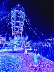 江の島シーキャンドルに投稿された画像（2025/12/28）