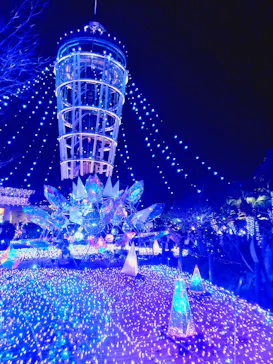 江の島シーキャンドルに投稿された画像（2025/12/28）