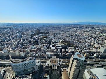 横浜ランドマークタワー 69階展望フロア スカイガーデンに投稿された画像（2025/12/28）