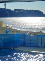 新江ノ島水族館に投稿された画像（2025/12/28）