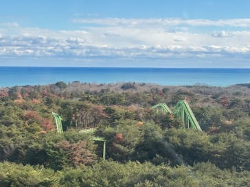 国営ひたち海浜公園プレジャーガーデンに投稿された画像（2025/12/28）