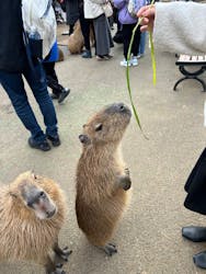 伊豆シャボテン動物公園に投稿された画像（2025/12/28）