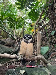 伊豆シャボテン動物公園に投稿された画像（2025/12/28）
