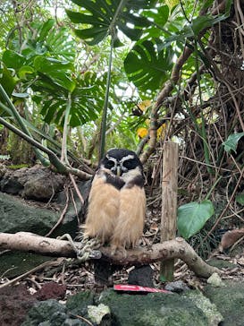 伊豆シャボテン動物公園に投稿された画像（2025/12/28）