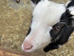 伊豆シャボテン動物公園に投稿された画像（2025/12/28）