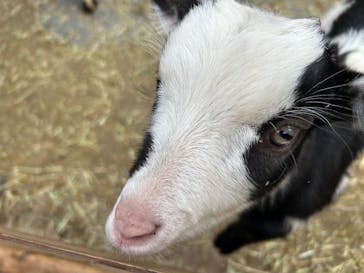 伊豆シャボテン動物公園に投稿された画像（2025/12/28）