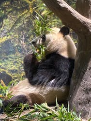 恩賜上野動物園に投稿された画像（2025/12/28）