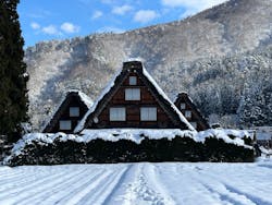 ホワイトリングに投稿された画像（2025/12/28）