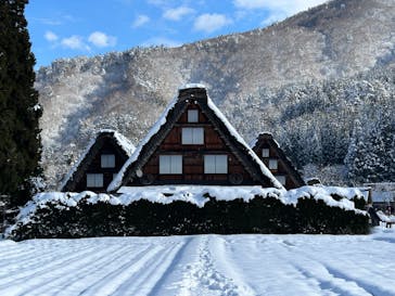 ホワイトリングに投稿された画像（2025/12/28）