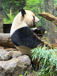 恩賜上野動物園に投稿された画像（2025/12/28）