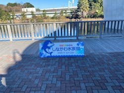 しながわ水族館に投稿された画像（2025/12/28）