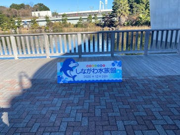 しながわ水族館に投稿された画像（2025/12/28）