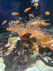 NIFREL（ニフレル）に投稿された画像（2025/12/28）