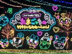 さがみ湖MORI MORIに投稿された画像（2025/12/28）