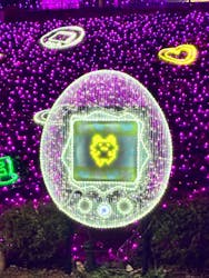 さがみ湖MORI MORIに投稿された画像（2025/12/28）