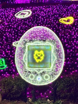 さがみ湖MORI MORIに投稿された画像（2025/12/28）