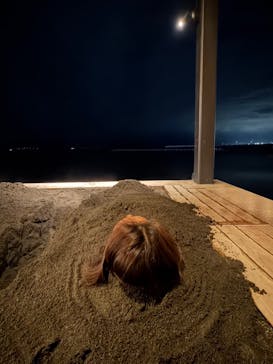 Sand SPA（別府海浜砂湯）に投稿された画像（2025/12/28）