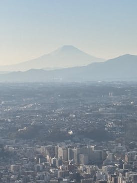 横浜ランドマークタワー 69階展望フロア スカイガーデンに投稿された画像（2025/12/28）