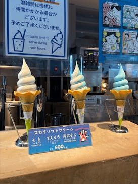 横浜ランドマークタワー 69階展望フロア スカイガーデンに投稿された画像（2025/12/28）