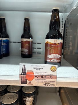 横浜ランドマークタワー 69階展望フロア スカイガーデンに投稿された画像（2025/12/28）