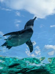 天王寺動物園に投稿された画像（2025/12/28）