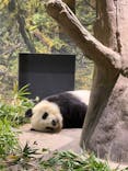 恩賜上野動物園に投稿された画像（2025/12/29）