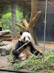 恩賜上野動物園に投稿された画像（2025/12/28）