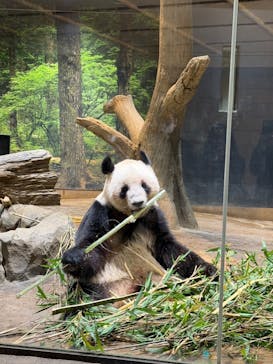 恩賜上野動物園に投稿された画像（2025/12/28）