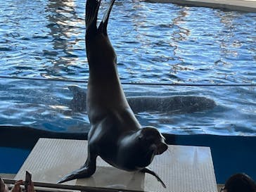 アクアワールド茨城県大洗水族館に投稿された画像（2025/12/28）