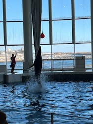 アクアワールド茨城県大洗水族館に投稿された画像（2025/12/28）