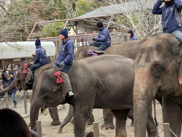 ANIMAL WONDER REZOURT 市原ぞうの国・サユリワールドに投稿された画像（2025/12/29）